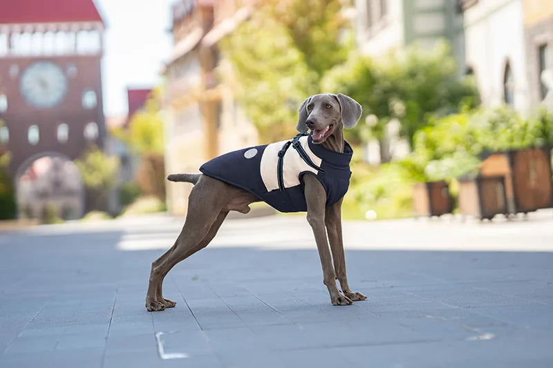 Dog Autumn Winter Warm Cotton Thick Coat Dog Vest Pet Coat Small And Medium-sized Dog Clothes Windproof Vest Clothes for Dog