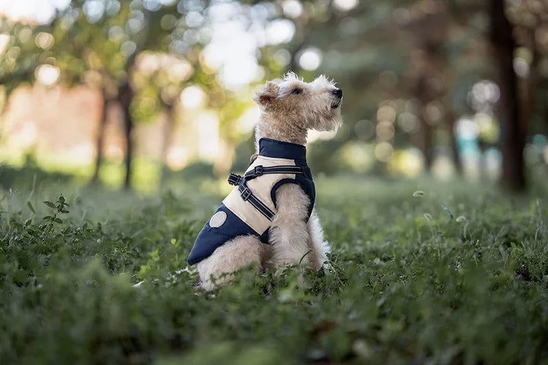 Dog Autumn Winter Warm Cotton Thick Coat Dog Vest Pet Coat Small And Medium-sized Dog Clothes Windproof Vest Clothes for Dog