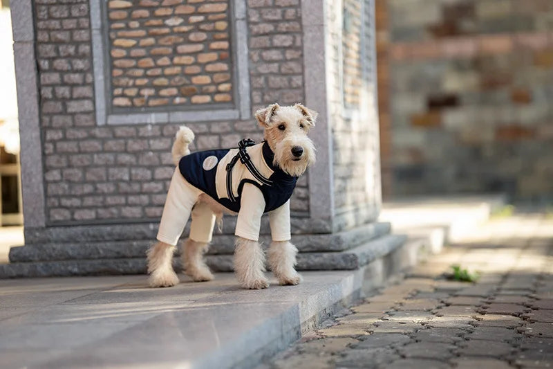 Dog Autumn Winter Warm Cotton Thick Coat Dog Vest Pet Coat Small And Medium-sized Dog Clothes Windproof Vest Clothes for Dog