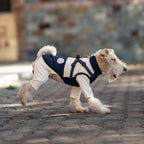 Dog Autumn Winter Warm Cotton Thick Coat Dog Vest Pet Coat Small And Medium-sized Dog Clothes Windproof Vest Clothes for Dog