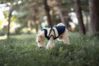 Dog Autumn Winter Warm Cotton Thick Coat Dog Vest Pet Coat Small And Medium-sized Dog Clothes Windproof Vest Clothes for Dog
