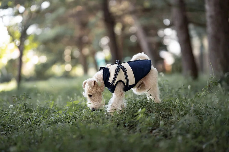 Dog Autumn Winter Warm Cotton Thick Coat Dog Vest Pet Coat Small And Medium-sized Dog Clothes Windproof Vest Clothes for Dog